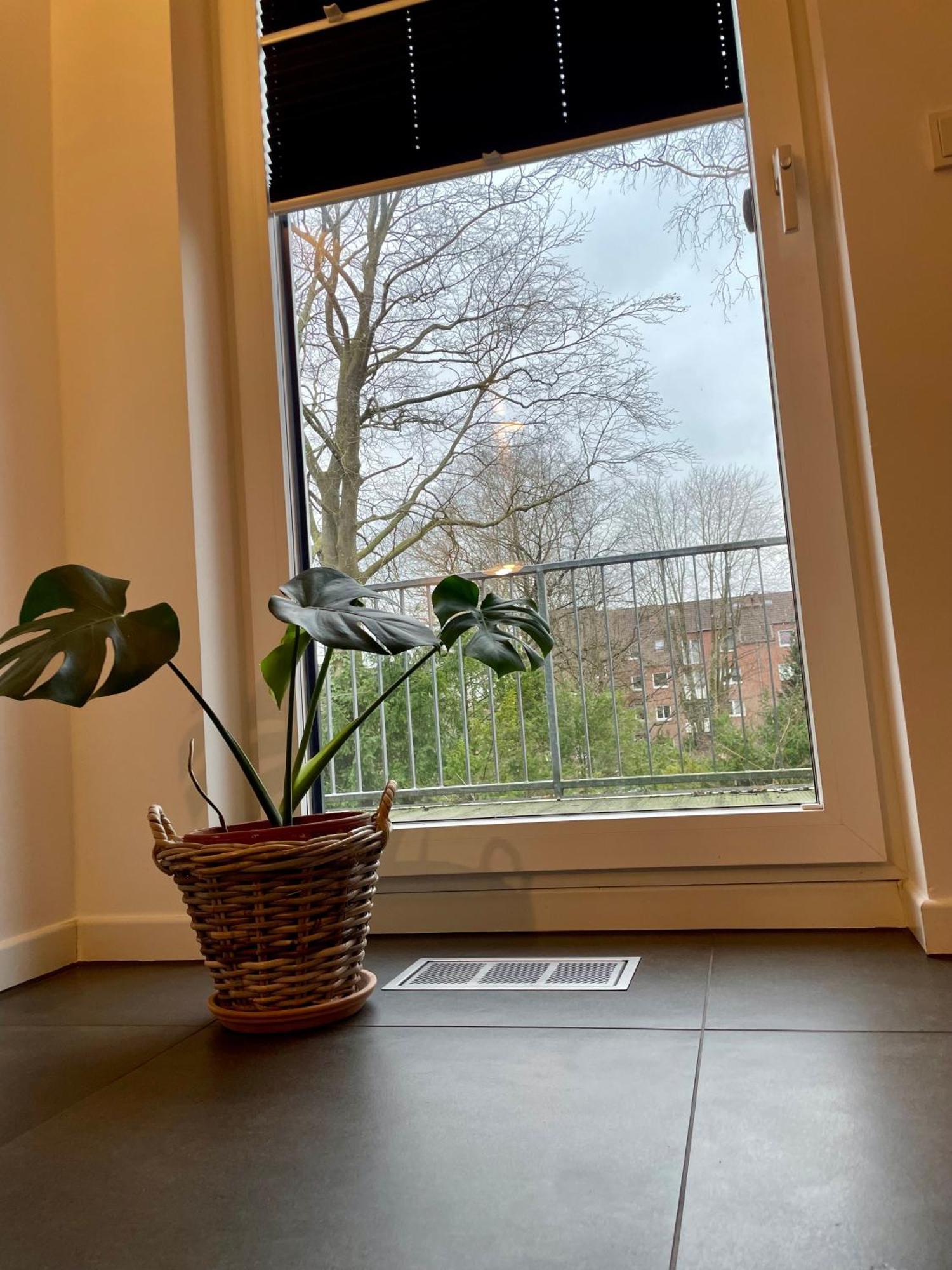 Modernes Holzhaus Im Skandinavischen Stil Mit Sauna, Garten Und 2 Katzen ノルダーシュテット エクステリア 写真